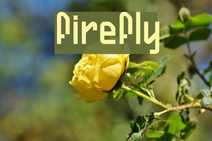 Firefly Fuentes examples