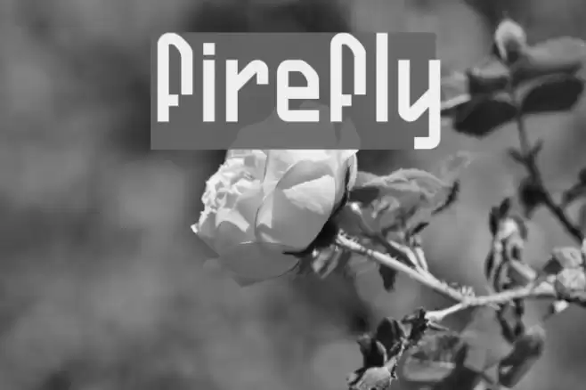 Firefly Fuentes examples