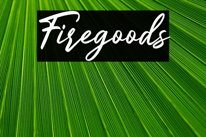 Firegoods Example 2