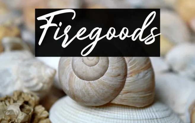 Firegoods Example 3