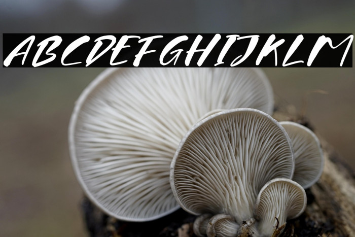 Firegrant Stinklez Example 1