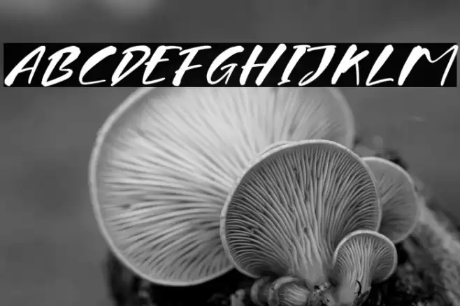 Firegrant Stinklez フォント examples