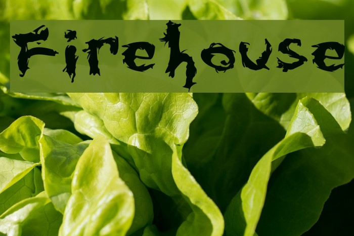 Firehouse Schriftart examples