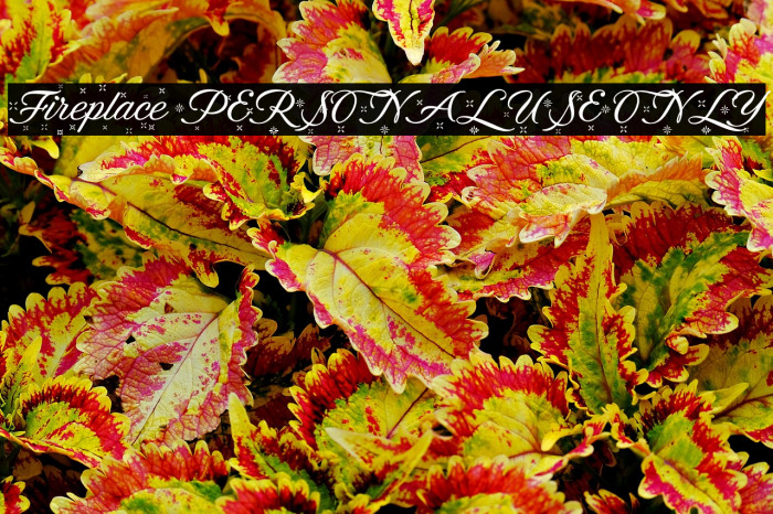 Fireplace PERSONAL USE ONLY Example 2