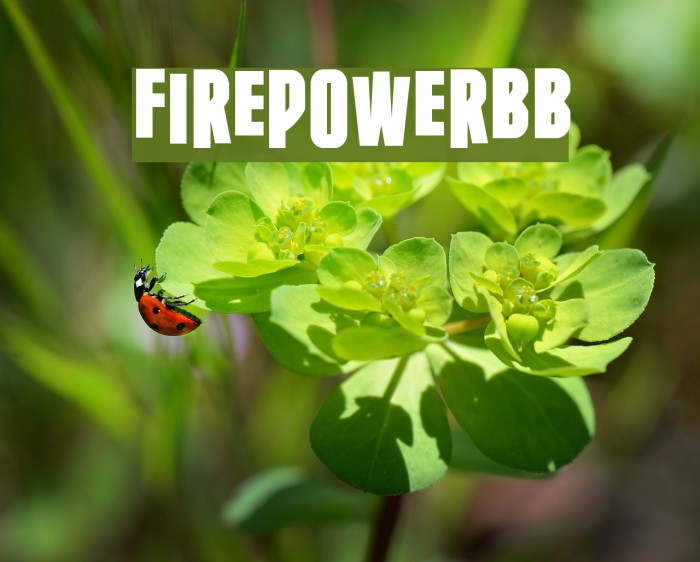 FirepowerBB Font examples