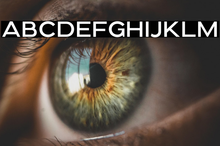 FiresideDEMO Example 2