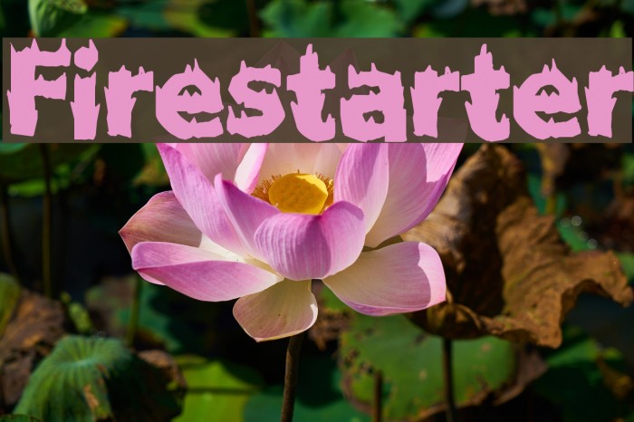 Firestarter フォント examples