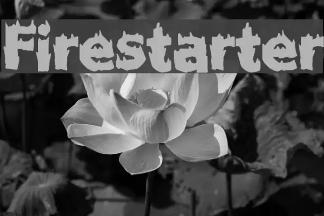 Firestarter Font examples