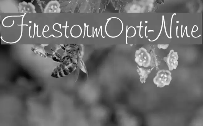 FirestormOpti-Nine Font examples