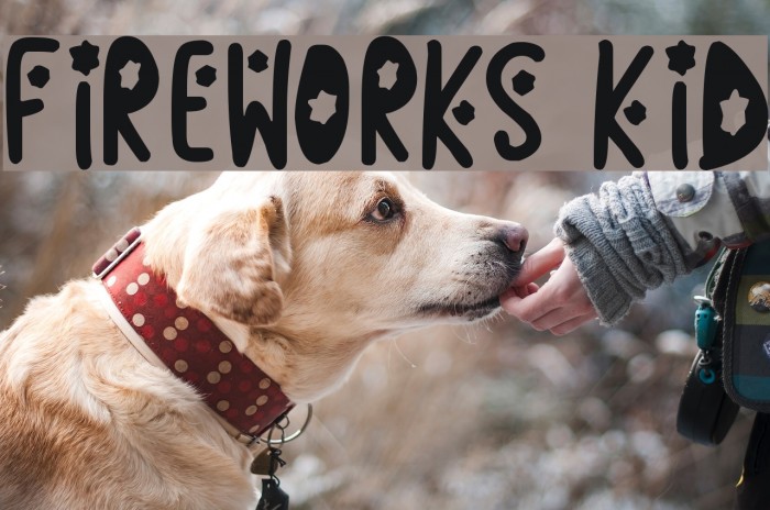 Fireworks Kid Font examples