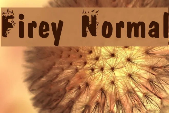 Firey Normal Example 1