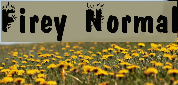 Firey Normal Font examples