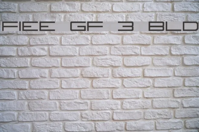Fireye GF 3 Bold Example 1