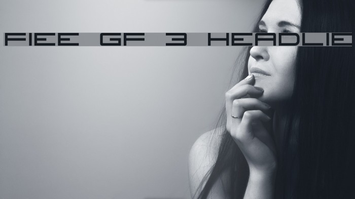 Fireye GF 3 Headline フォント examples