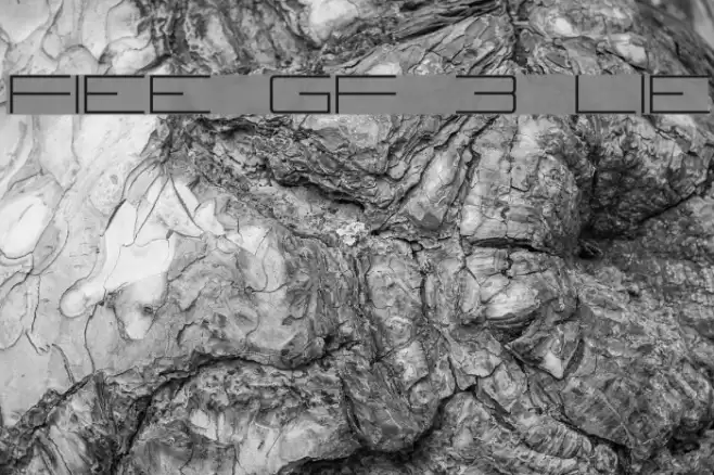 Fireye GF 3 Lite Font examples