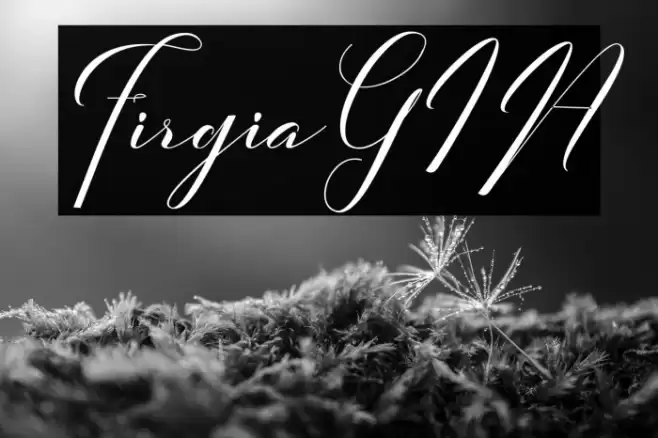 FirgiaGIA Font examples