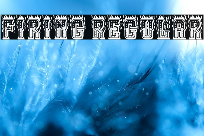 Firing Regular Example 1