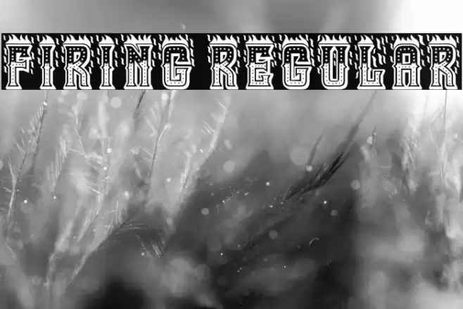 Firing Regular Font examples