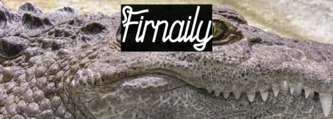 Firnaily Example 1