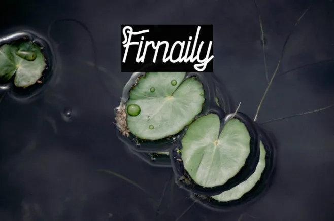 Firnaily Example 2