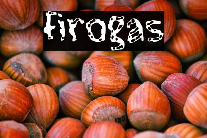 Firogas Example 1
