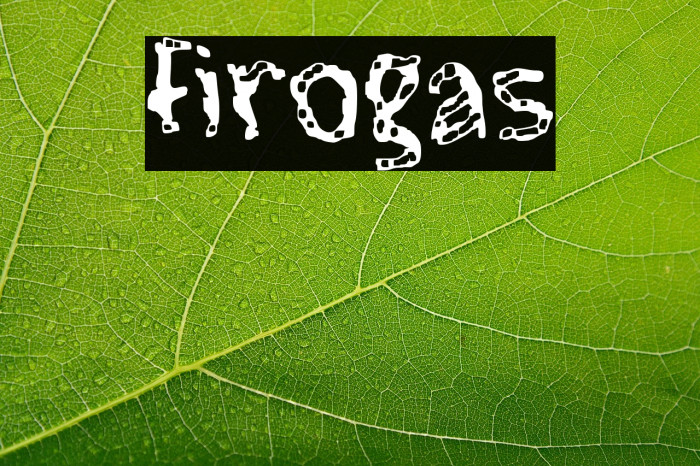 Firogas Example 2