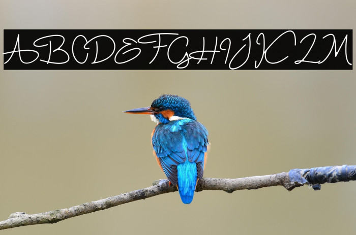 Firpi Lephril Example 1