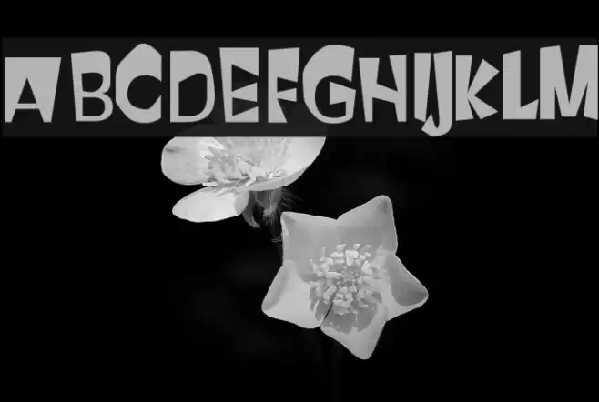 First Attempt フォント examples