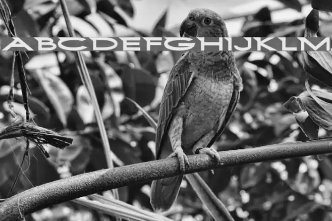 First Blind 2 Font examples