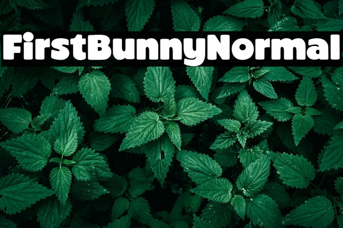 First Bunny Normal Example 3