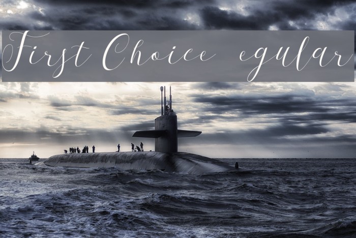First Choice DEMO Regular Font examples