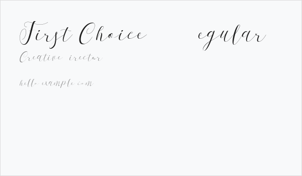 First Choice DEMO Regular Business Card