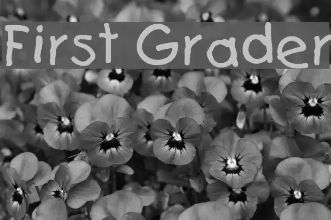 First Grader Font examples