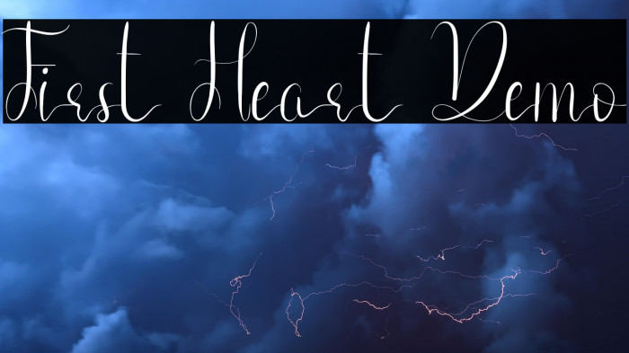 First Heart Demo Example 1