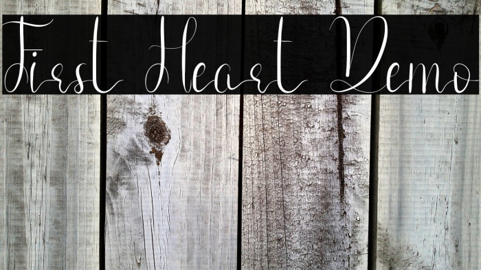 First Heart Demo Example 3