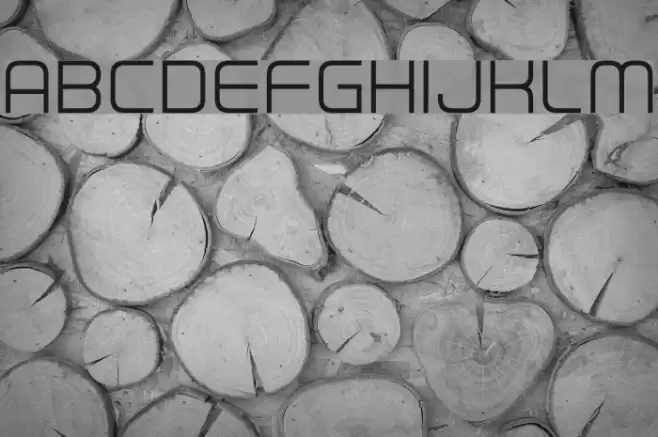 First In Line Font examples