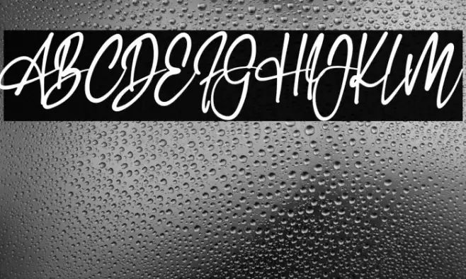 First Line Polices examples