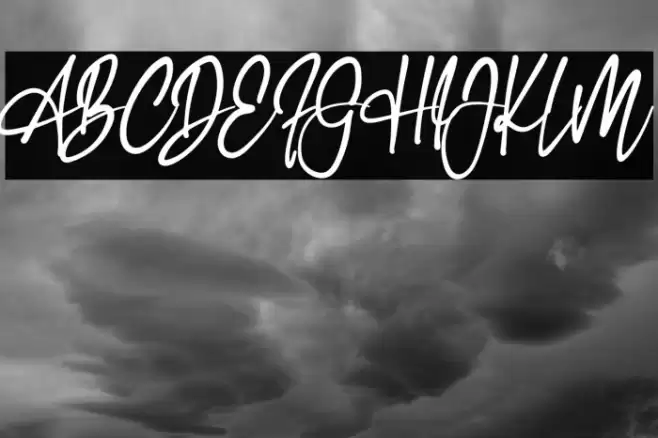 First Line Polices examples