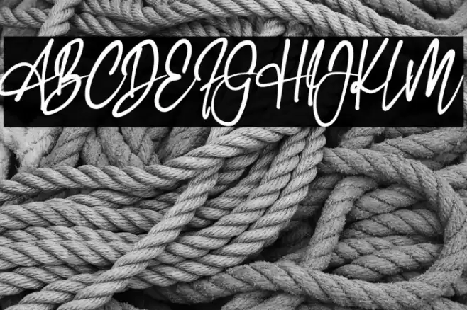 First Line Polices examples