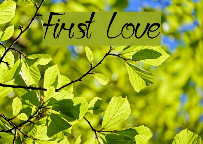 First Love Font examples