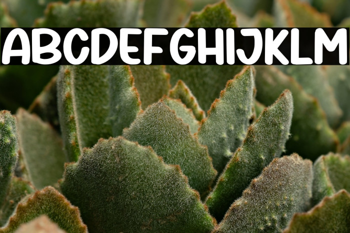 First Marigold Regular خط examples