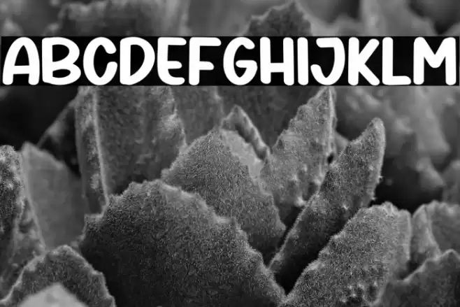 First Marigold Regular Font examples