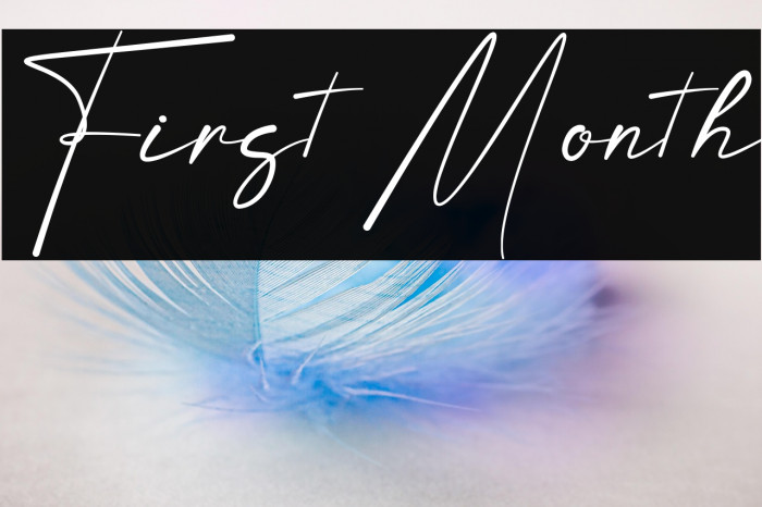 First Month Example 2