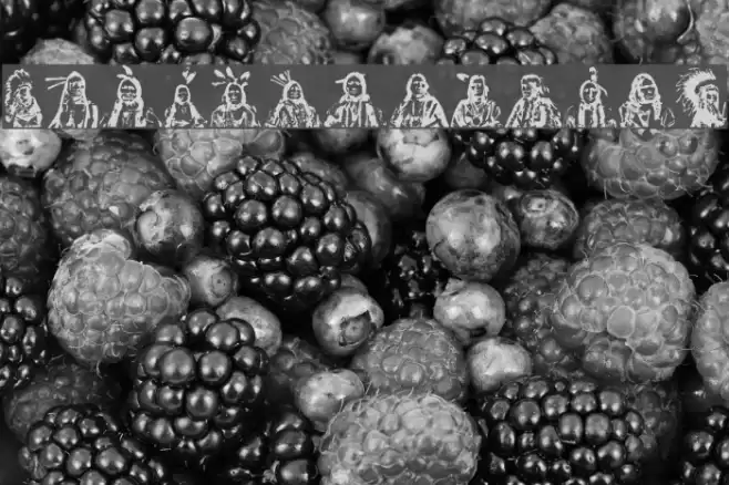 First Nations Regular Font examples