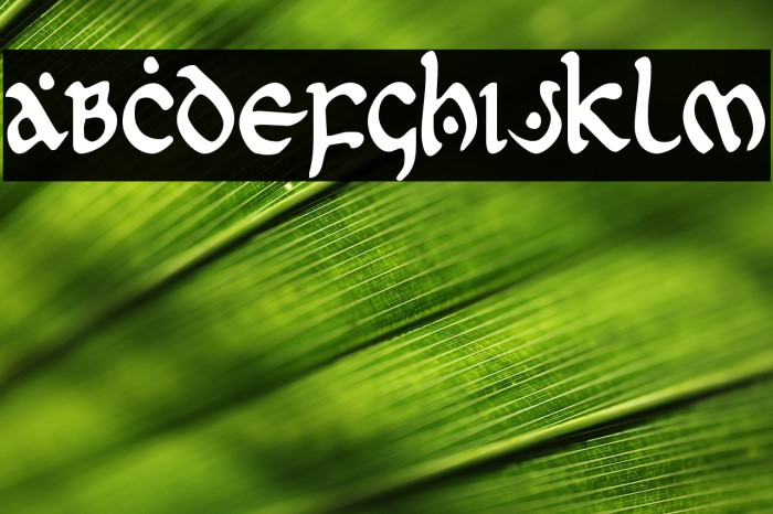 First Order Condensed Example 1