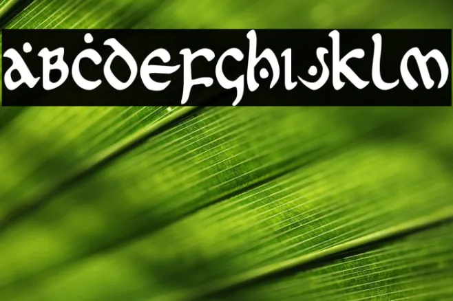 First Order Condensed Example 1