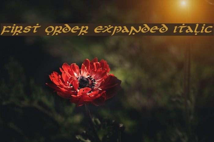 First Order Expanded Italic Font examples