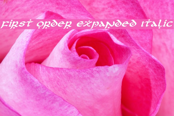 First Order Expanded Italic Font examples
