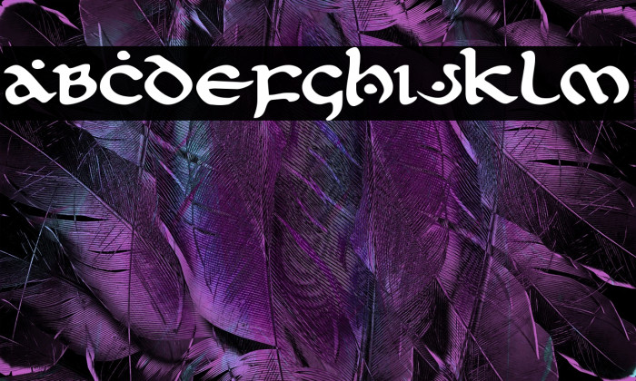 First Order Expanded Example 1