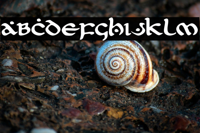 First Order Expanded Example 3